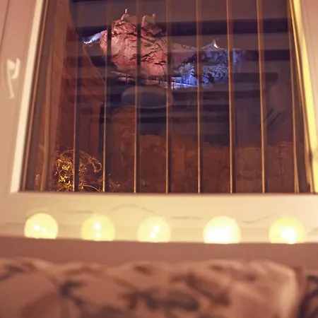 Апартаменты Duplex Nuevo Terraza Centro Аликанте