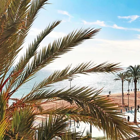 Appartamento Duplex Nuevo Terraza Centro Alicante